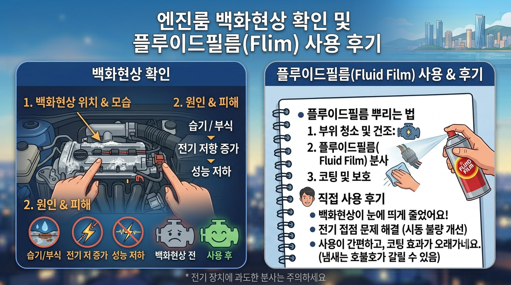 엔진룸 백화현상 플루이드 필름 사용후기 사진