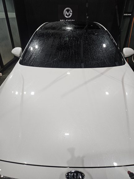 중고차 구매 후 첫 셀프세차, 철분제거부터 습식코팅까지 해본 후기
